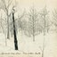 The Winter Dark