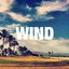 Wind