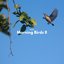 Morning Birds II