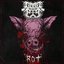 Rot