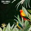 Summer Nights - Single
