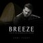 Breeze (Live at the Heydar Aliyev Center)