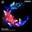 Butterflies Of The Night EP