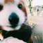 Avatar for xhatesongx