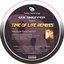 Time of Life Remixes