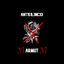 ANT1S1L3NC33
