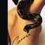 Caress (Expanded Edition) [Digitally Remastered]