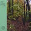 Relaxing Forest Rain (Extended Edition)