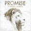 Promise
