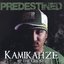 Predestined