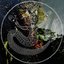 Northern Lights (Remixes)