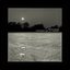 Symphony No.12 "Lodger"