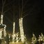 winterwonderland!
