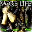 more life