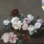 Power corruption and lies