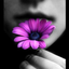 Avatar for PurpleBlueNight