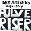Pulveriser
