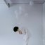 結言 - Single