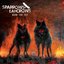 Burn the Sky - Single