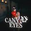 Canvas Eyes