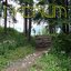 Paths to a Distant Place