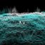 SOUNDS for IDVSBL_SBSTC
