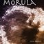 Morula