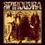 Spirogyra - St. Radigunds album artwork