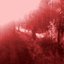The Red Witch II