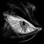 Avatar di chasesadinadin