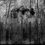 The Final Defeat - Single