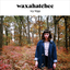 Waxahatchee - Ivy Tripp album artwork