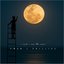 I Wish I Was the Moon