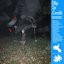 Box for Buddy, Box for Star (Deluxe)