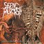 Spontaneous Emanation Of Rotting Smell Through Necropsy Process