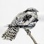 Nightjar - Single