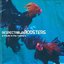 Respectable Roosters / A Tribute To The Roosters