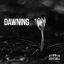 dawning