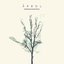 Arbol