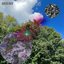 Punch Back - Single
