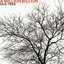 Old Tree