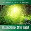 Relaxing Sounds of the Jungle (Sounds of Nature)