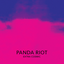 Panda Riot - Extra Cosmic album artwork