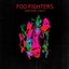 Wasting Light (Bonus Tracks)