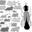 A Simple Guide to Small and Medium Pond Life