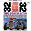 Little Deuce Coupe/All Summer Long