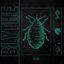 Aphid