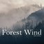 Forest Wind - Single