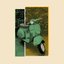 Olive Vespa
