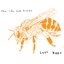 Lost Bees